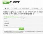 netfleet auction.jpg