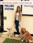 Auda Voting 2017.jpg