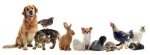 upload_2018-6-22_19-7-42.jpeg